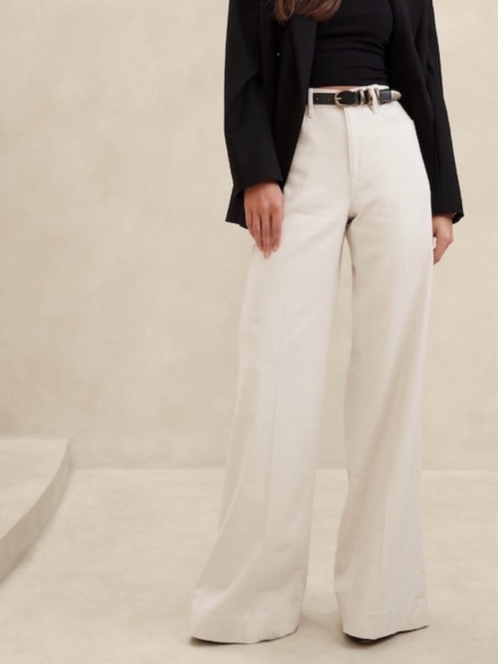 Banana Republic Wide-Leg High-Rise Pants in Ivory size 26P